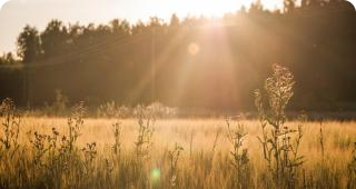 Anmälan minnesstund